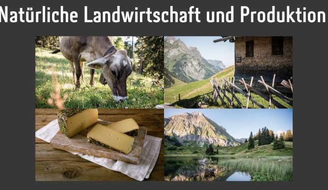 Käse aus dem Land der Berge